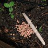 Planting dibber Redecker