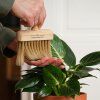 R Russell white dust brush